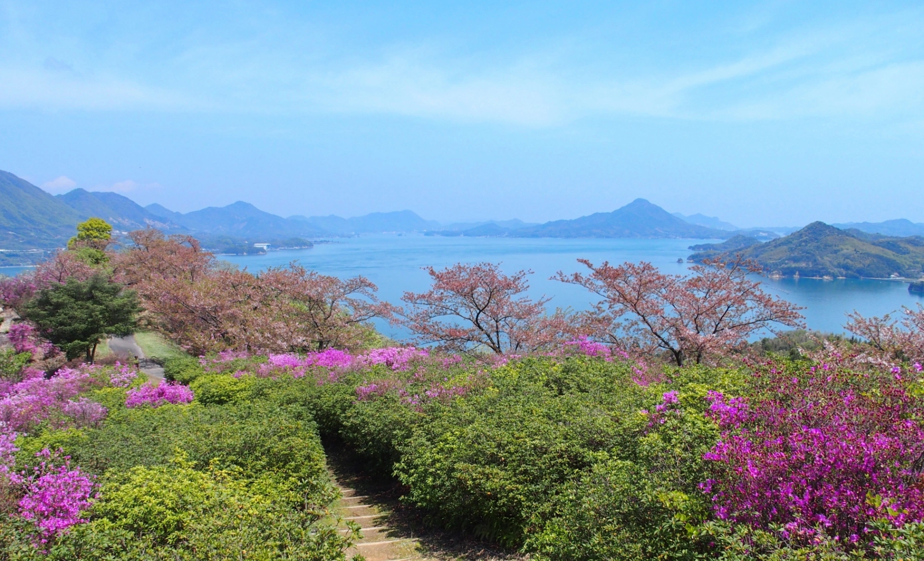 🏝 伯方島（今治市）