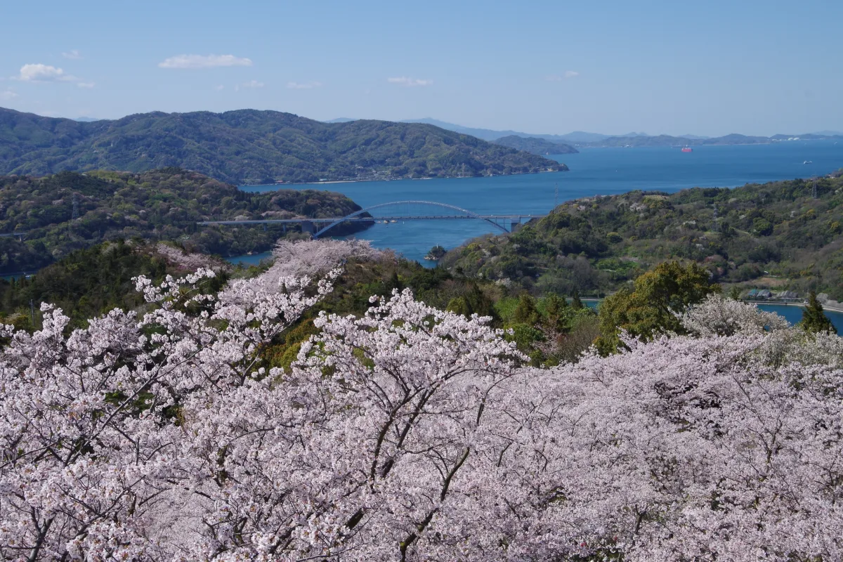 【2026年4月最新】愛媛・しまなみ海道イベントカレンダー＆マップ！桜まつりと島マルシェ情報