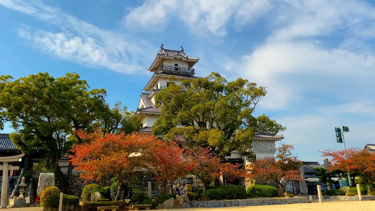 お供馬と秋祭りの躍動！今治市10月の伝統行事・タオルフェア完全版