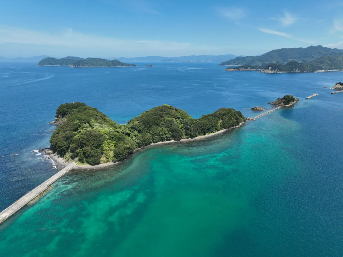 明浜の海開きと夏祭り！西予市7月の海辺のレジャー＆お出かけガイド