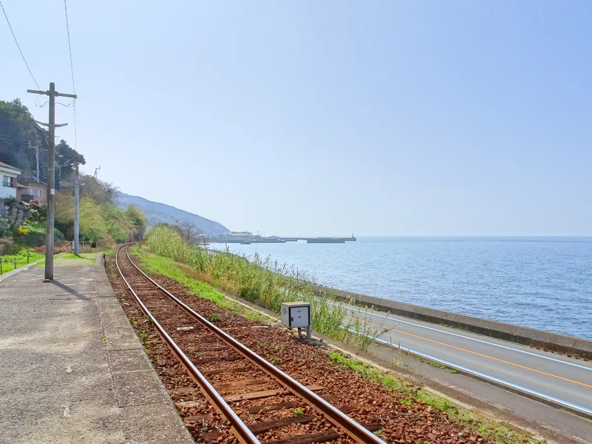 中山のホタルと初夏の海。伊予市6月のしっとり自然満喫・あじさいまとめ