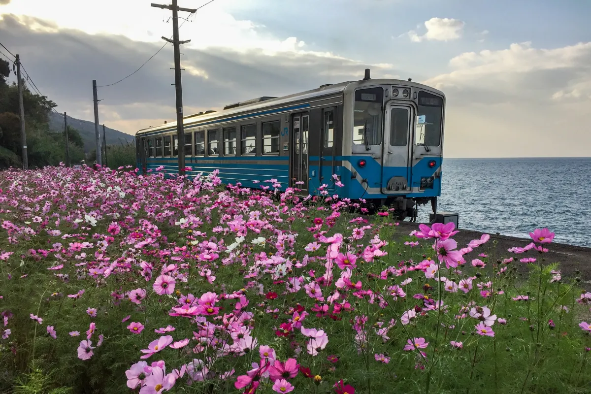 秋祭りの熱気と夕日ドライブ。伊予市10月の伝統行事・秋のレジャー完全版