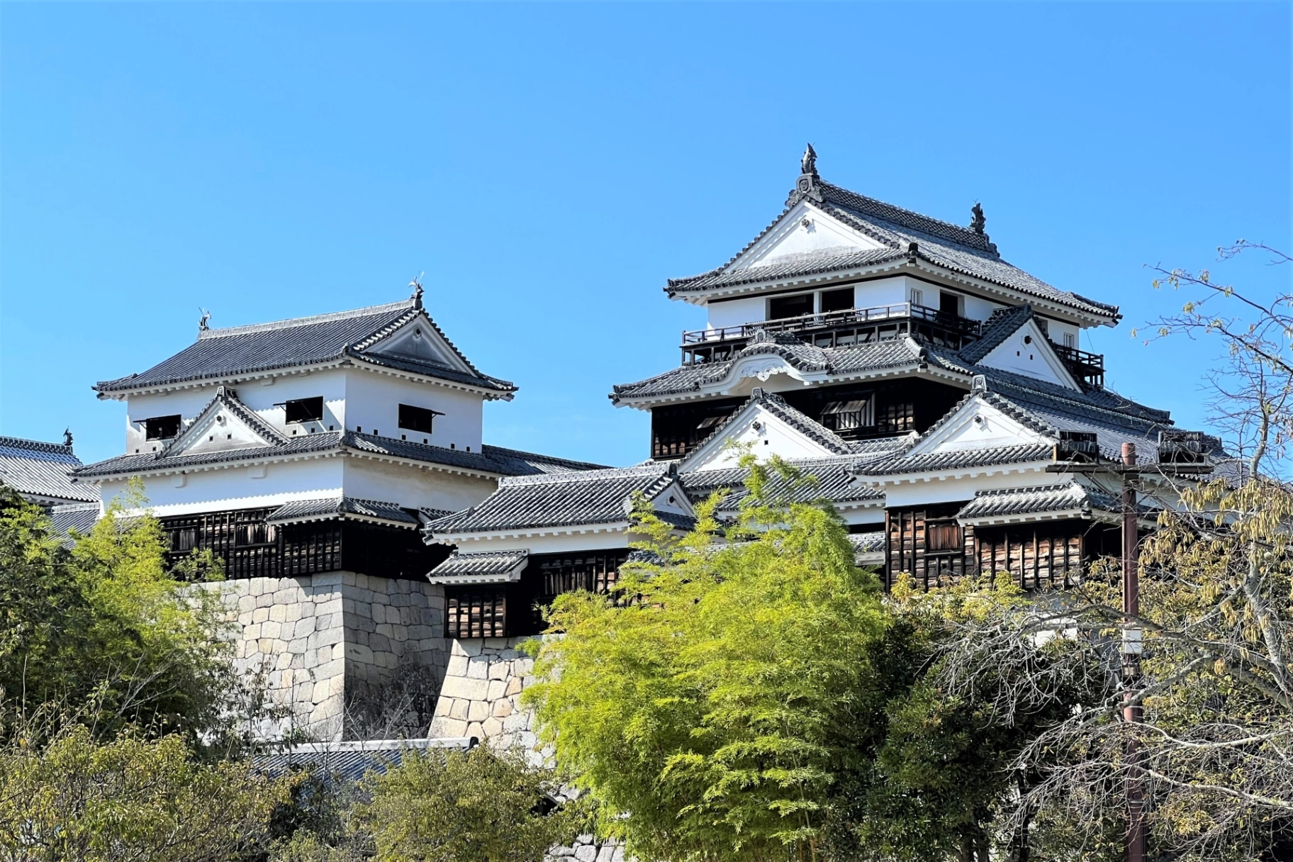 【2027年3月最新】愛媛・松山イベントカレンダー＆マップ！道後温泉まつり・夜桜ライトアップ