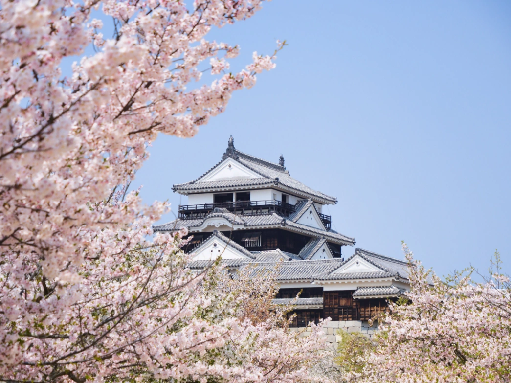 【2026年4月最新】愛媛・松山市イベントカレンダー＆マップ！松山春まつり（お城まつり）・砥部焼まつり