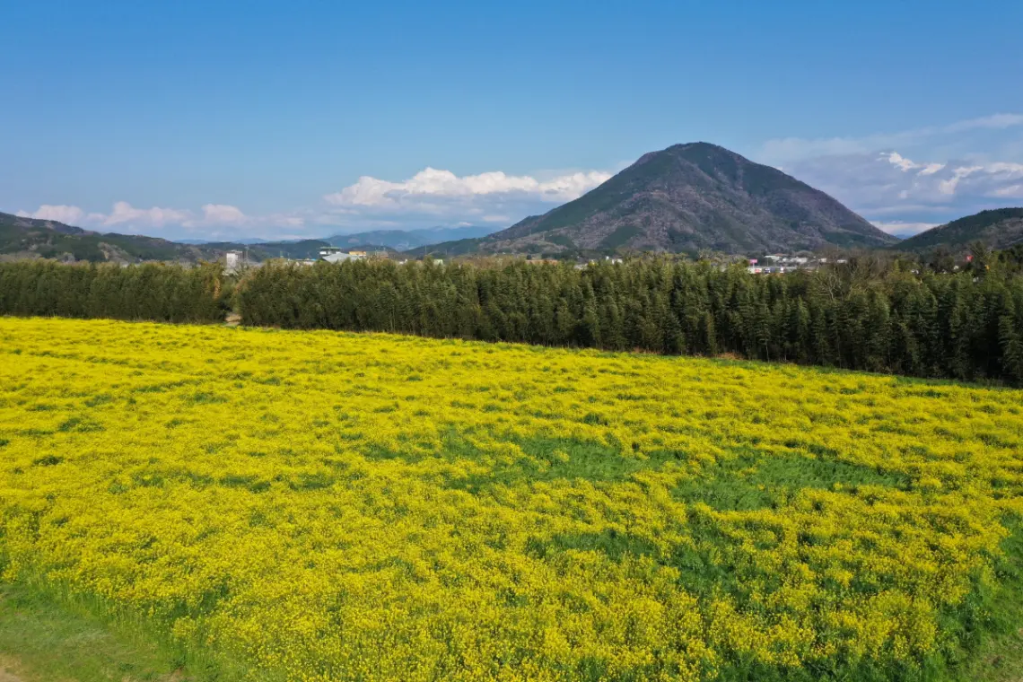 静寂の小京都を愛でる。大洲市2月の梅まつり・臥龍山荘の冬景色