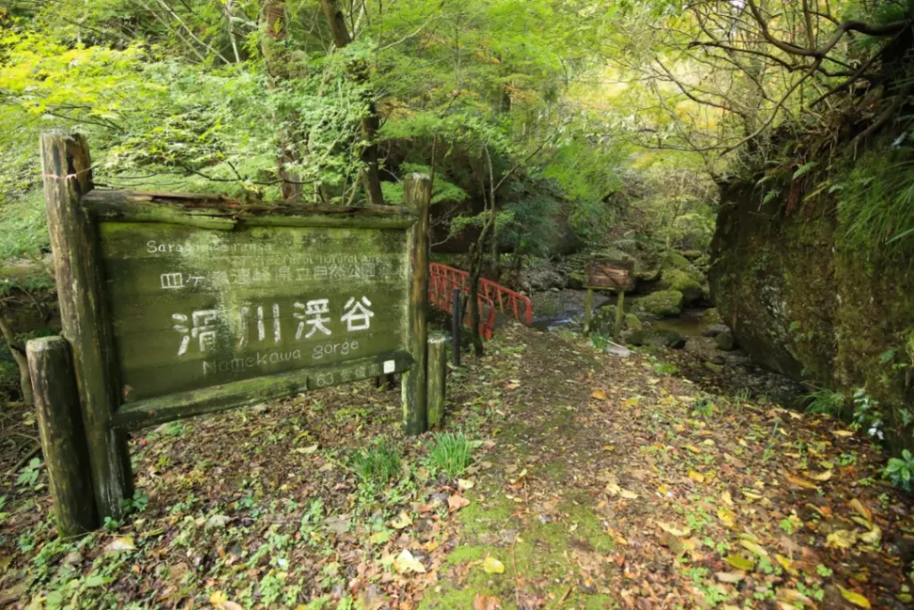 秋祭りの熱気と豊穣の喜び。東温市10月の伝統行事・秋のレジャー完全版