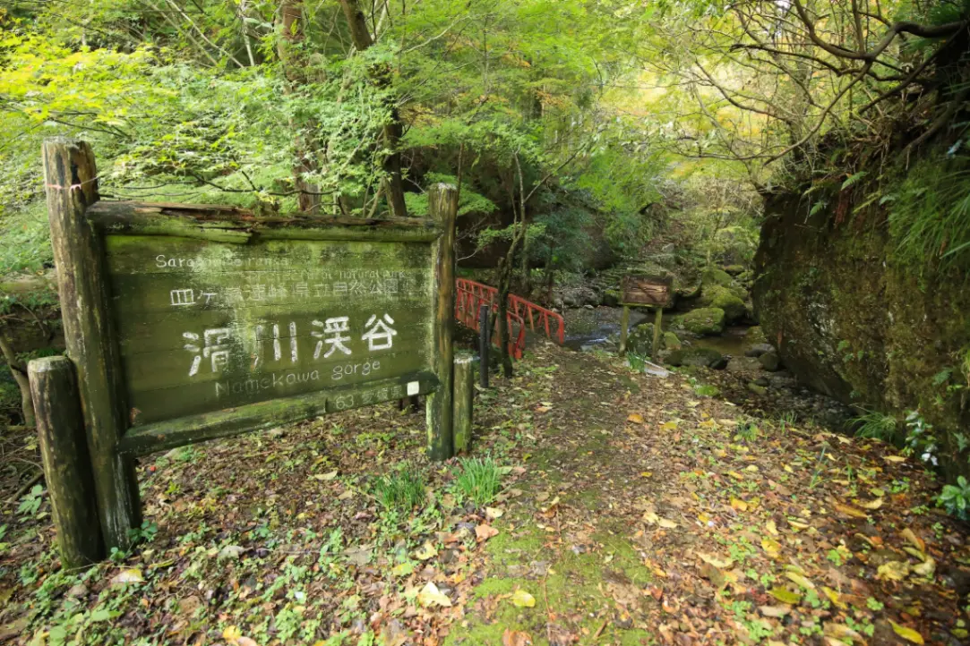 秋祭りの熱気と豊穣の喜び。東温市10月の伝統行事・秋のレジャー完全版